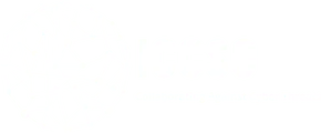 ICCSO